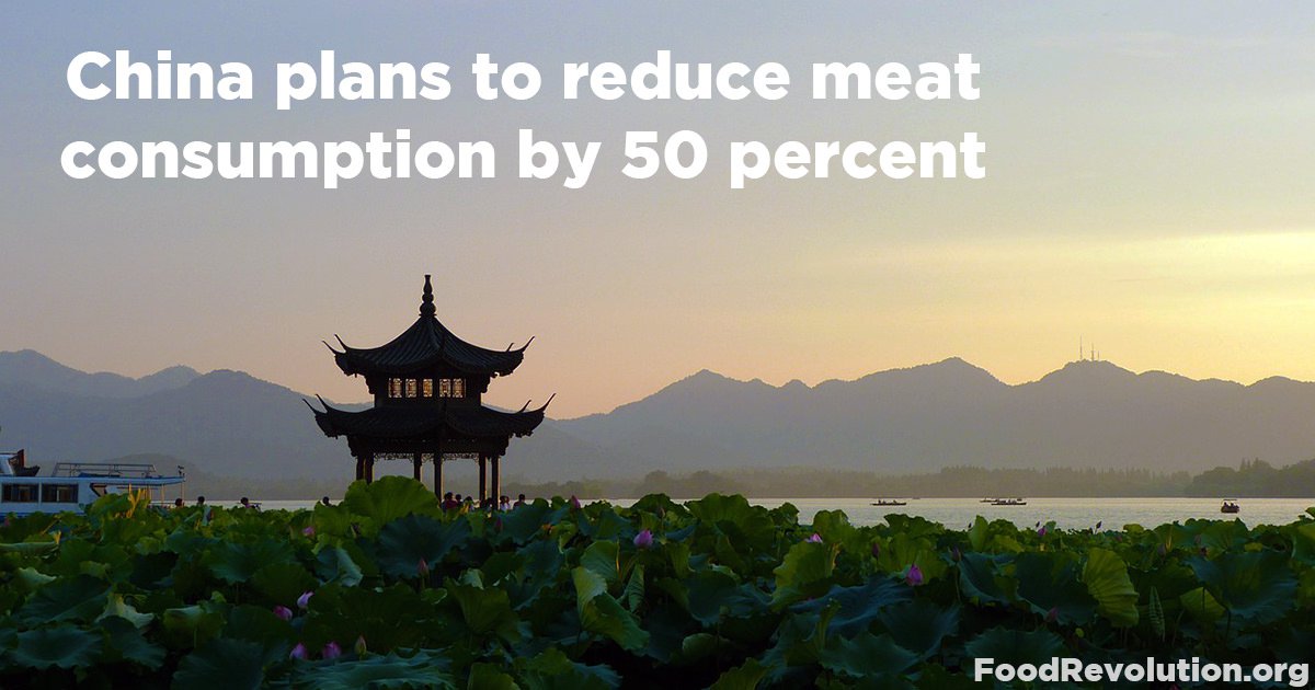 China-reduce-meat-consumption